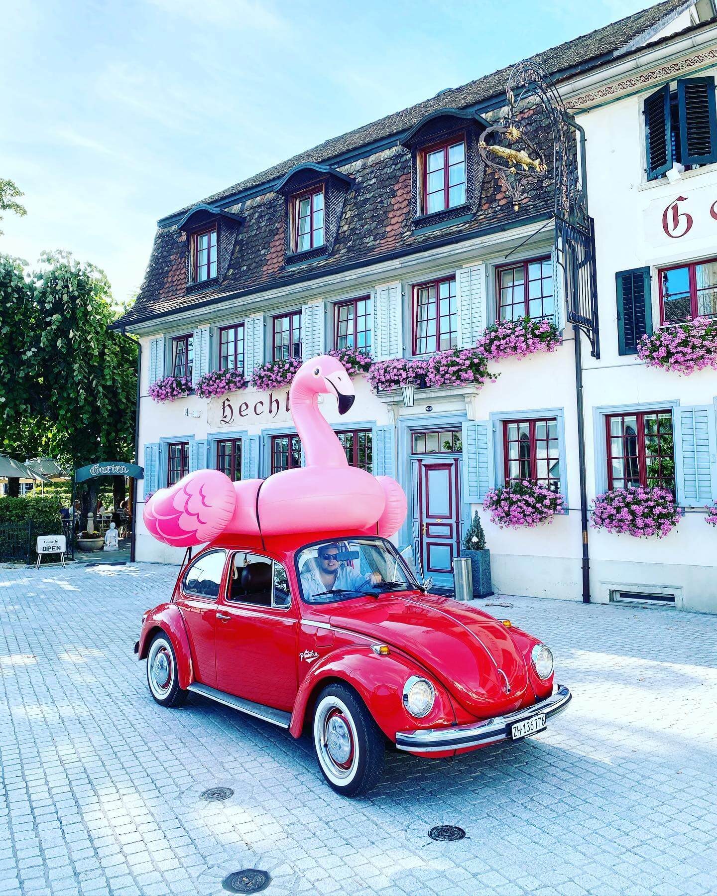 VW Käfer mit Flamingo