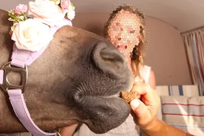 Was im Photobus passiert, bleibt auch dort.