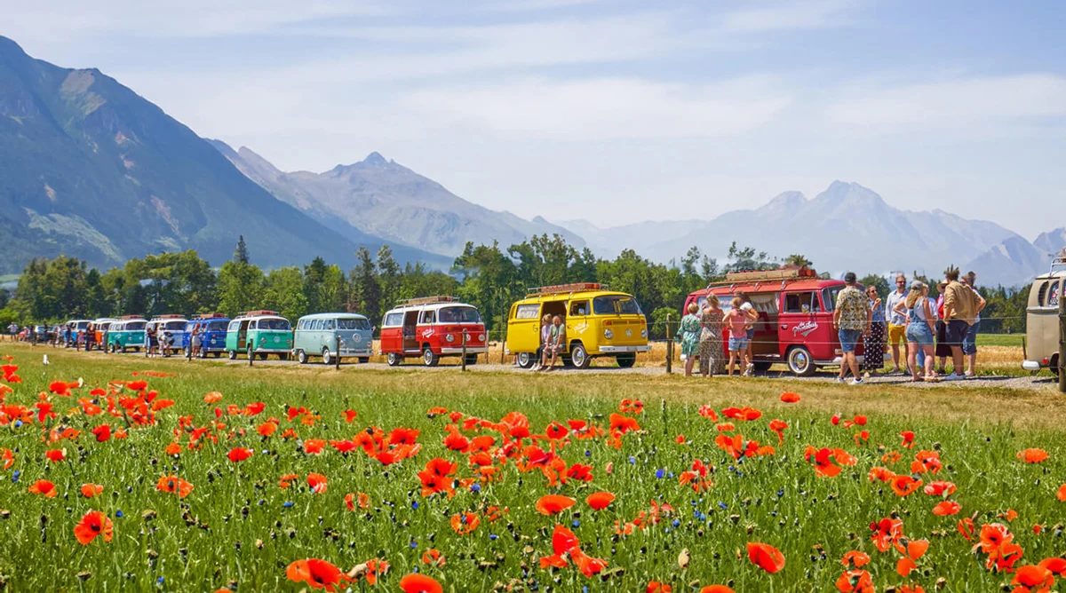 Verschiedene VW Photobus Modelle in Blau, Rot, Gelb und Mint in einer Schweizer Berglandschaft.